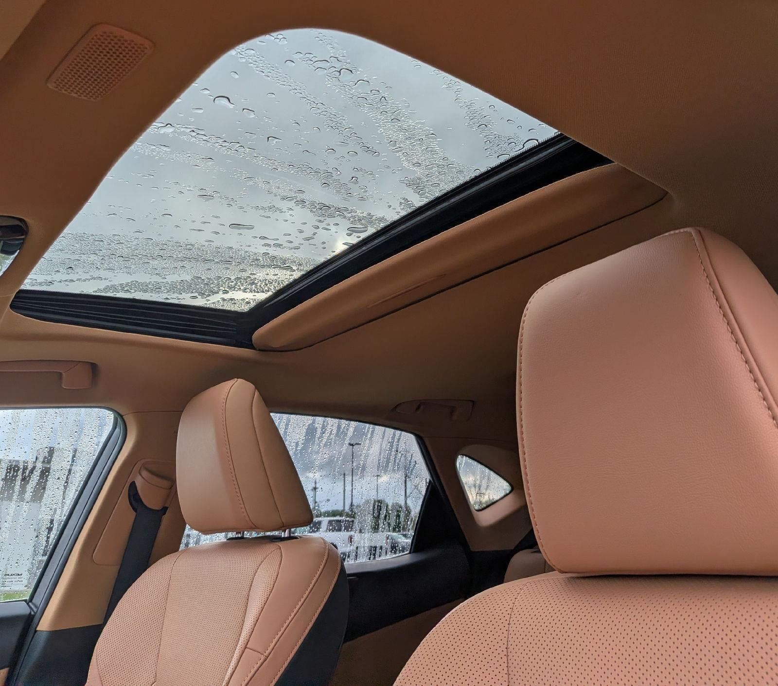 2023 Lexus NX 350 Luxury