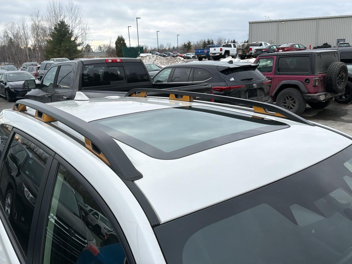 2023 Subaru Forester Wilderness