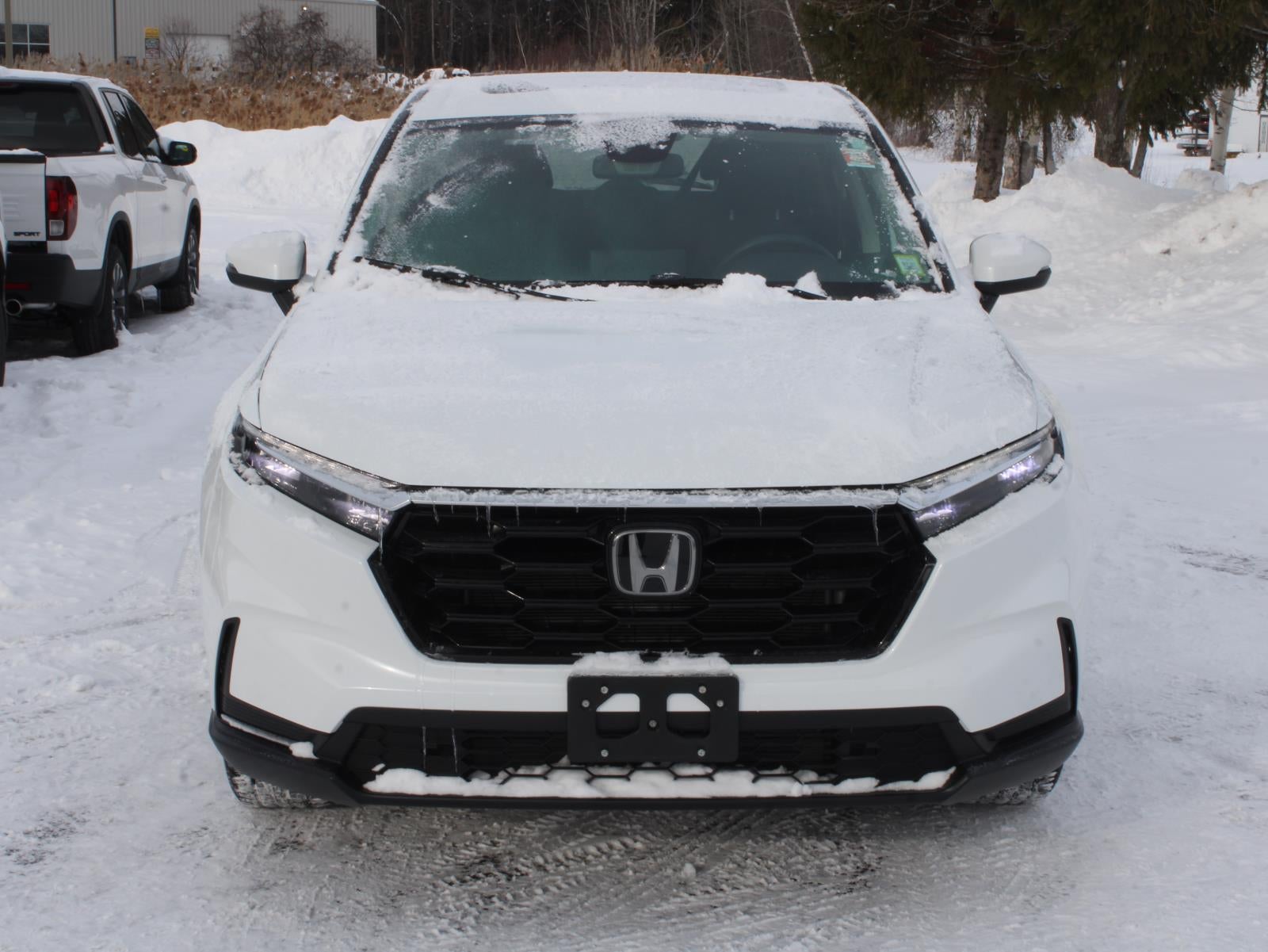 2023 Honda CR-V EX All Wheel Drive CVT