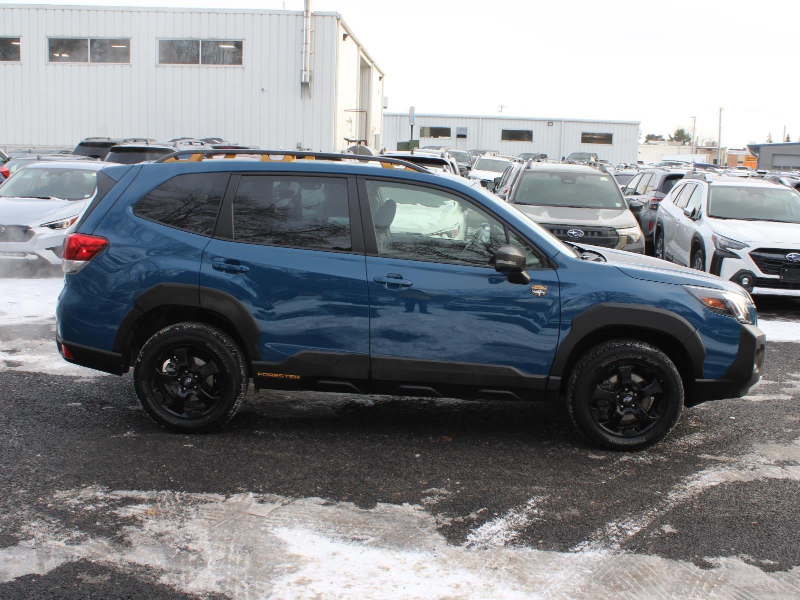 2023 Subaru Forester Wilderness