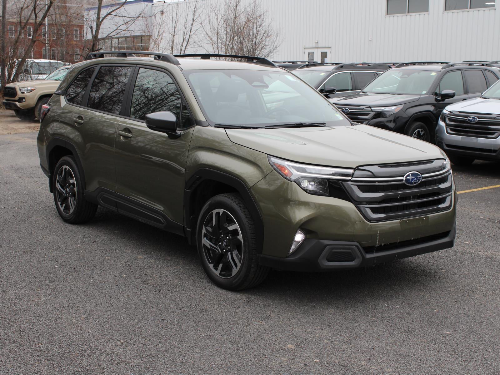 2025 Subaru Forester Limited