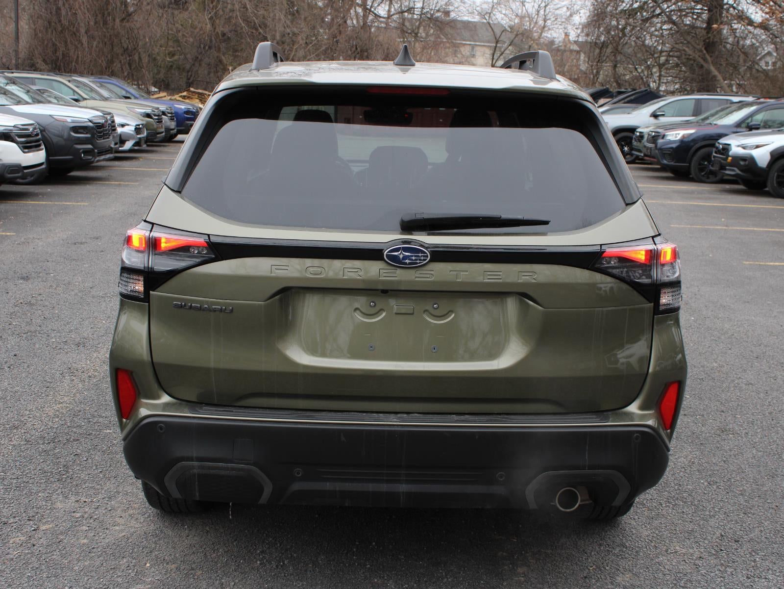 2025 Subaru Forester Limited