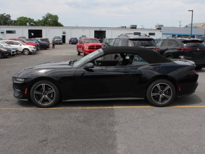 2025 Ford Mustang EcoBoost